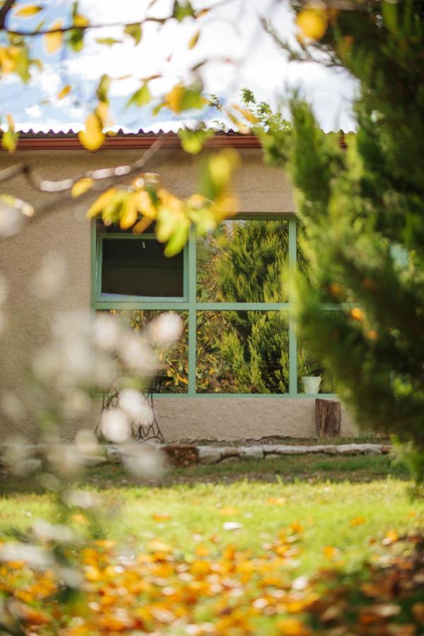 Casa Akacia Hotel Telavi Eksteriør billede