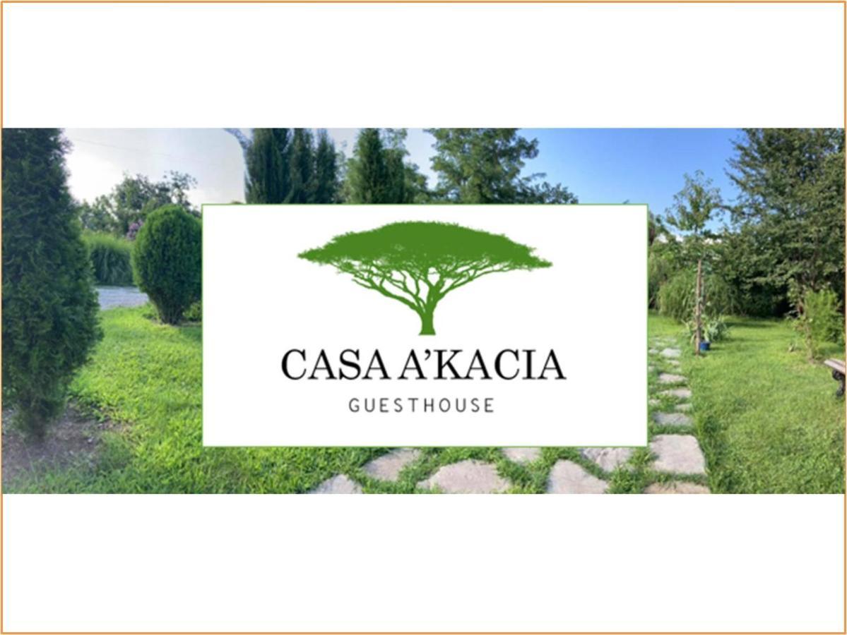 Casa Akacia Hotel Telavi Eksteriør billede